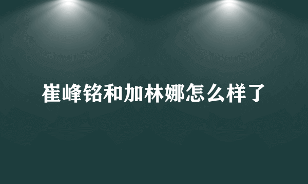 崔峰铭和加林娜怎么样了