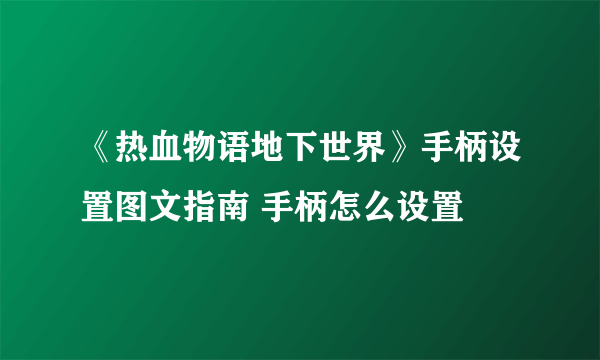 《热血物语地下世界》手柄设置图文指南 手柄怎么设置