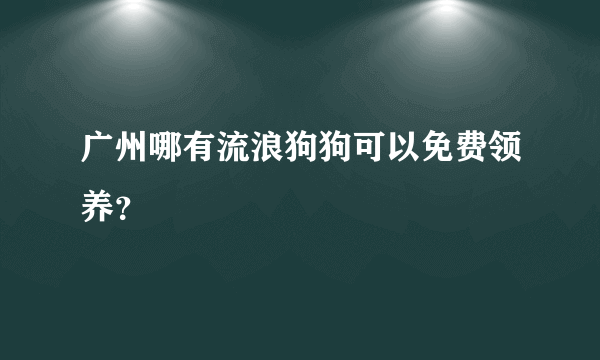 广州哪有流浪狗狗可以免费领养？