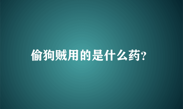 偷狗贼用的是什么药？