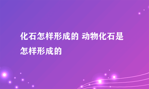 化石怎样形成的 动物化石是怎样形成的