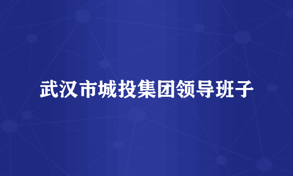 武汉市城投集团领导班子