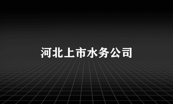 河北上市水务公司
