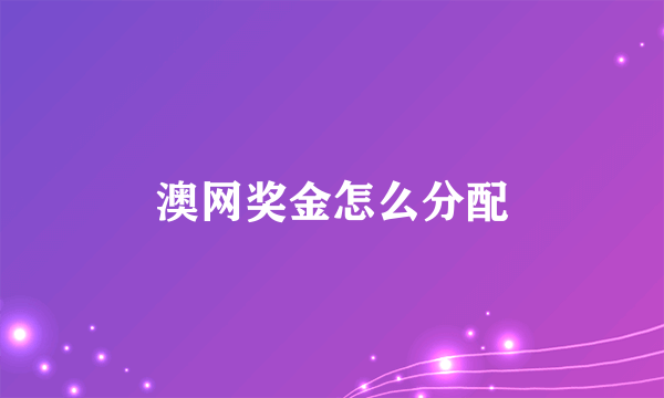 澳网奖金怎么分配