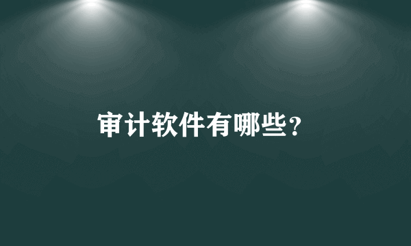 审计软件有哪些？