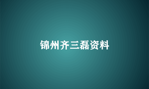 锦州齐三磊资料