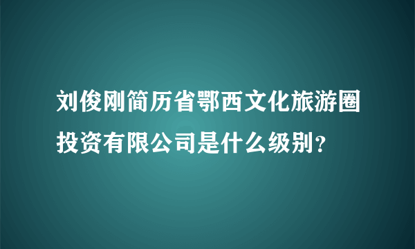 刘俊刚简历省鄂西文化旅游圈投资有限公司是什么级别？