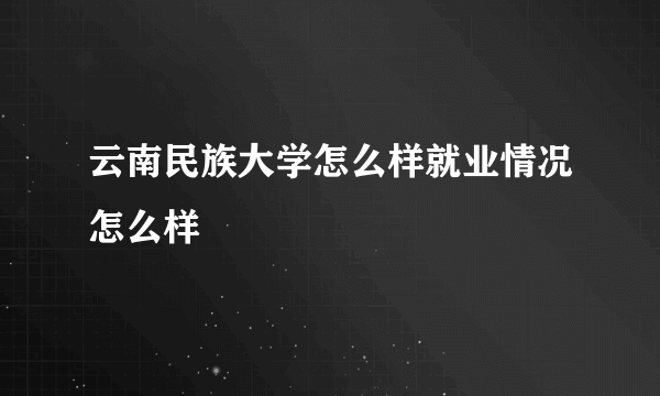 云南民族大学怎么样就业情况怎么样