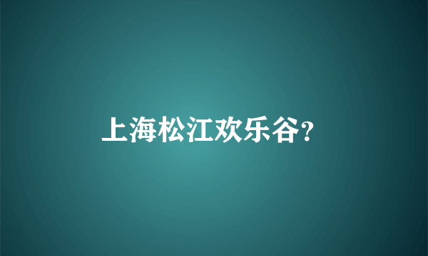 上海松江欢乐谷？