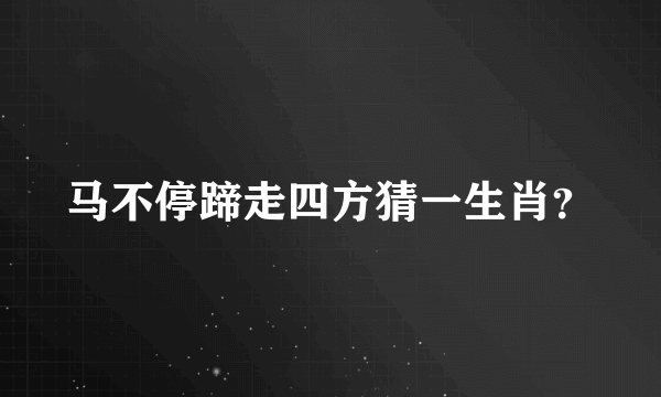 马不停蹄走四方猜一生肖？