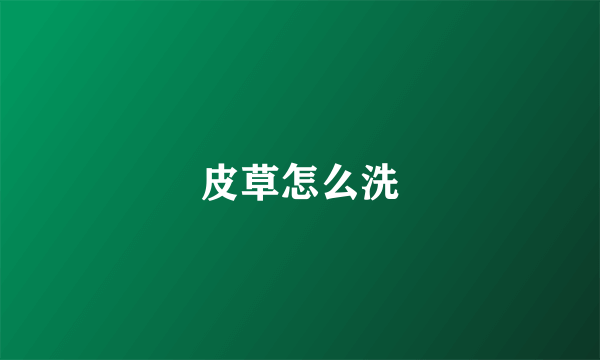 皮草怎么洗
