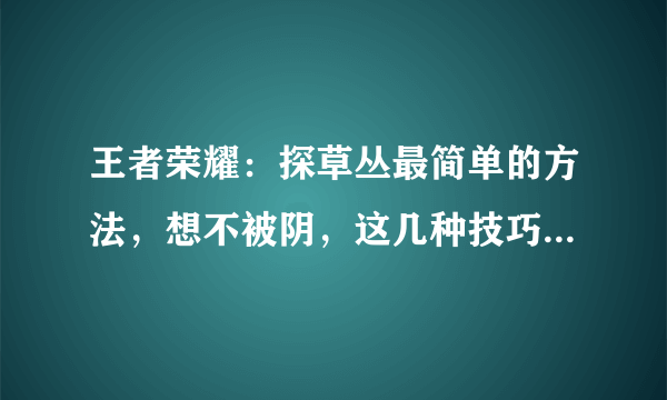 王者荣耀：探草丛最简单的方法，想不被阴，这几种技巧一定要知道