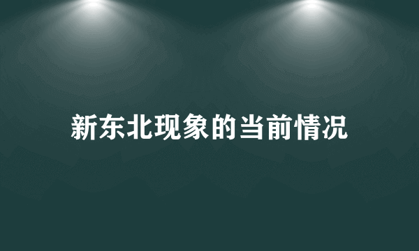 新东北现象的当前情况