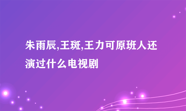 朱雨辰,王斑,王力可原班人还演过什么电视剧