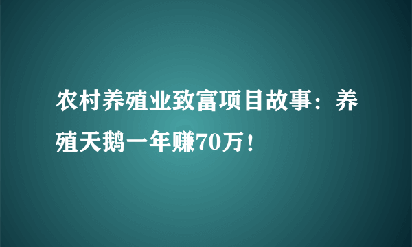 农村养殖业致富项目故事：养殖天鹅一年赚70万！