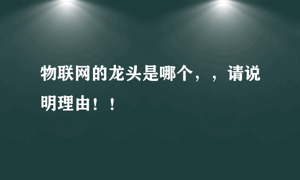 物联网的龙头是哪个，，请说明理由！！