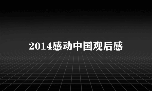 2014感动中国观后感