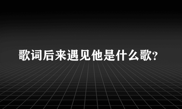 歌词后来遇见他是什么歌？