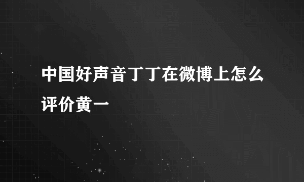中国好声音丁丁在微博上怎么评价黄一