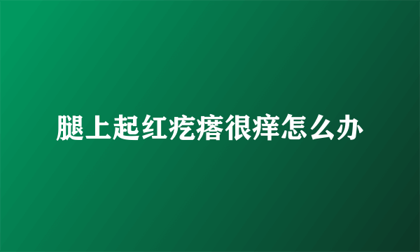 腿上起红疙瘩很痒怎么办