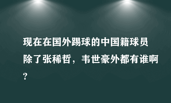 现在在国外踢球的中国籍球员除了张稀哲，韦世豪外都有谁啊?
