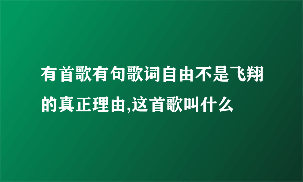 有首歌有句歌词自由不是飞翔的真正理由,这首歌叫什么