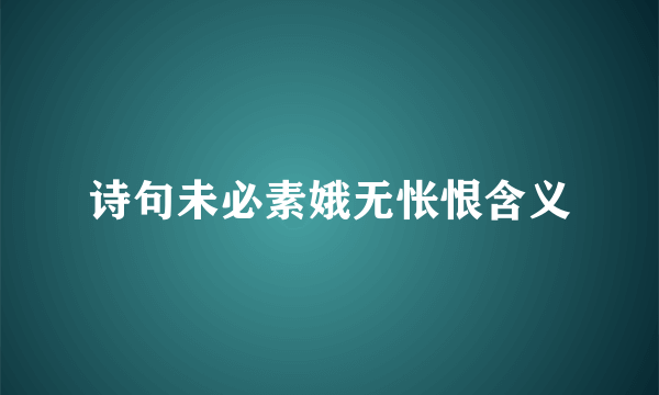 诗句未必素娥无怅恨含义