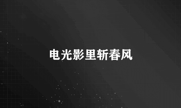 电光影里斩春风
