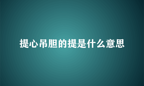 提心吊胆的提是什么意思