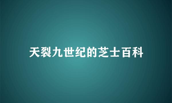 天裂九世纪的芝士百科
