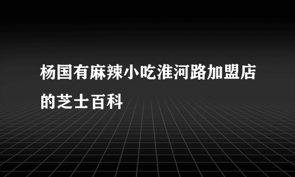 杨国有麻辣小吃淮河路加盟店的芝士百科