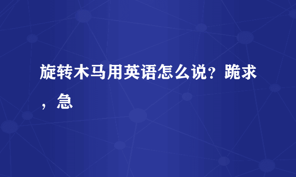旋转木马用英语怎么说？跪求，急