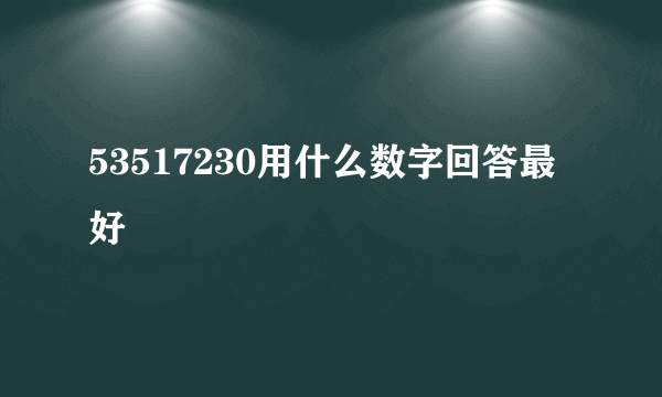 53517230用什么数字回答最好