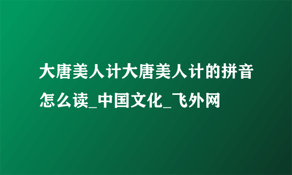 大唐美人计大唐美人计的拼音怎么读_中国文化_飞外网