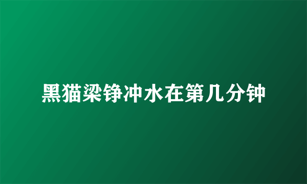 黑猫梁铮冲水在第几分钟
