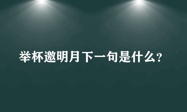 举杯邀明月下一句是什么？