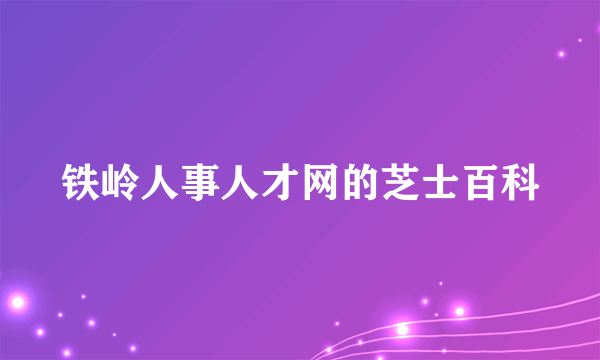 铁岭人事人才网的芝士百科