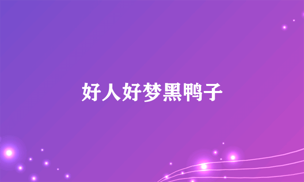 好人好梦黑鸭子