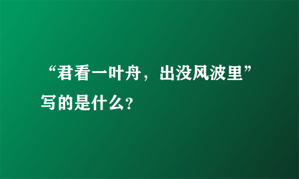 “君看一叶舟，出没风波里”写的是什么？