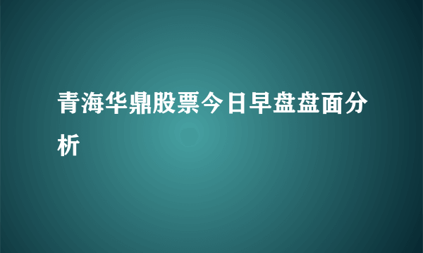 青海华鼎股票今日早盘盘面分析