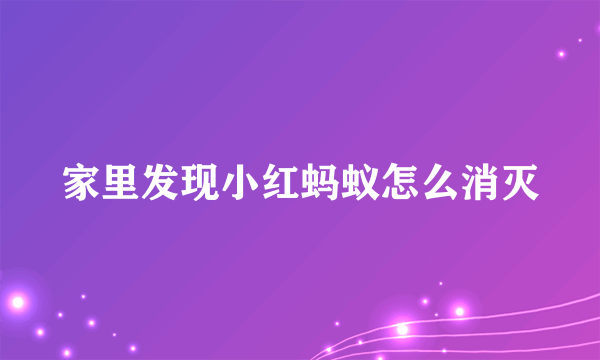 家里发现小红蚂蚁怎么消灭