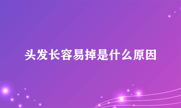 头发长容易掉是什么原因