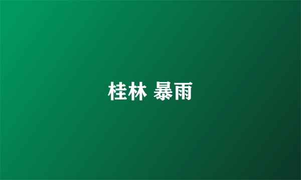 桂林 暴雨