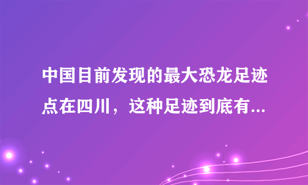中国目前发现的最大恐龙足迹点在四川，这种足迹到底有多稀有？