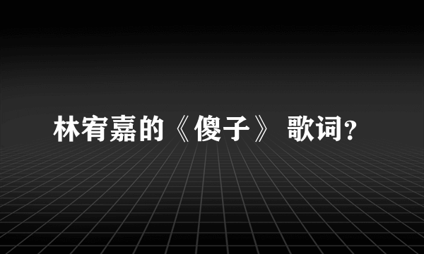 林宥嘉的《傻子》 歌词？