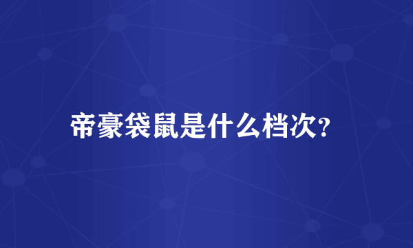 帝豪袋鼠是什么档次？