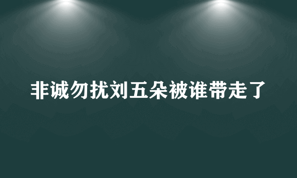 非诚勿扰刘五朵被谁带走了