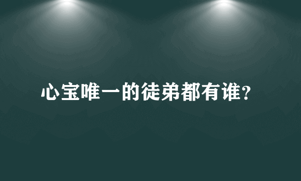 心宝唯一的徒弟都有谁？