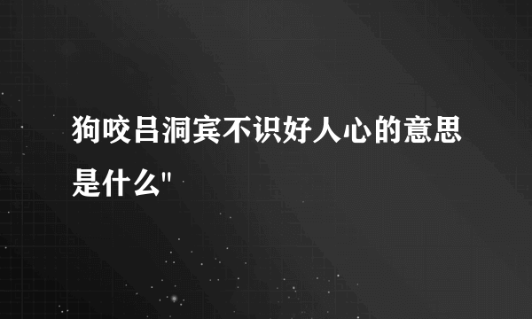 狗咬吕洞宾不识好人心的意思是什么