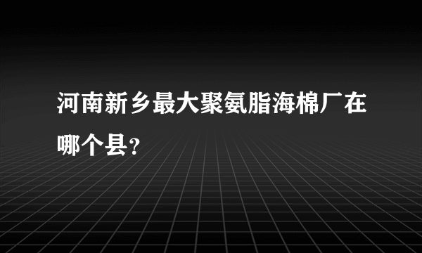 河南新乡最大聚氨脂海棉厂在哪个县？